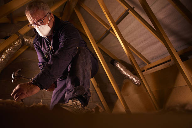 Best Insulation Materials and Products in Brinkley, AR